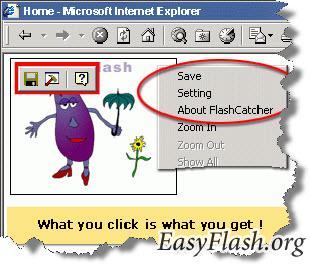 FlashCatcher 2.6
